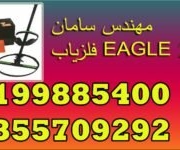فلزیاب EAGLE 2000