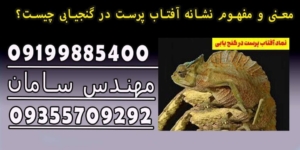 معنی و مفهوم نشانه آفتاب پرست در گنجیابی چیست؟