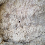تشخیص ساروج