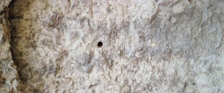 تشخیص ساروج